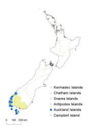 Notogrammitis rigida distribution map based on databased records at AK, CHR & WELT.
 Image: K.Boardman © Landcare Research 2021 CC BY 4.0